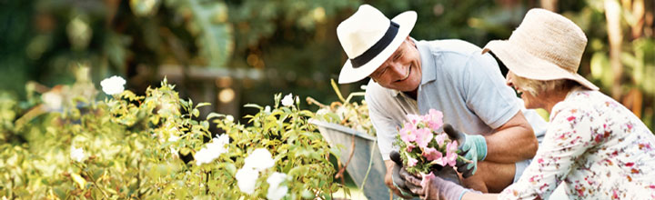 Elderly man and woman gardening